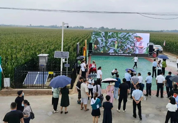 與會代表現(xiàn)場觀摩托普云農(nóng)支撐建設(shè)的“噸半糧”高標(biāo)準(zhǔn)農(nóng)田核心示范區(qū)_副本.jpg